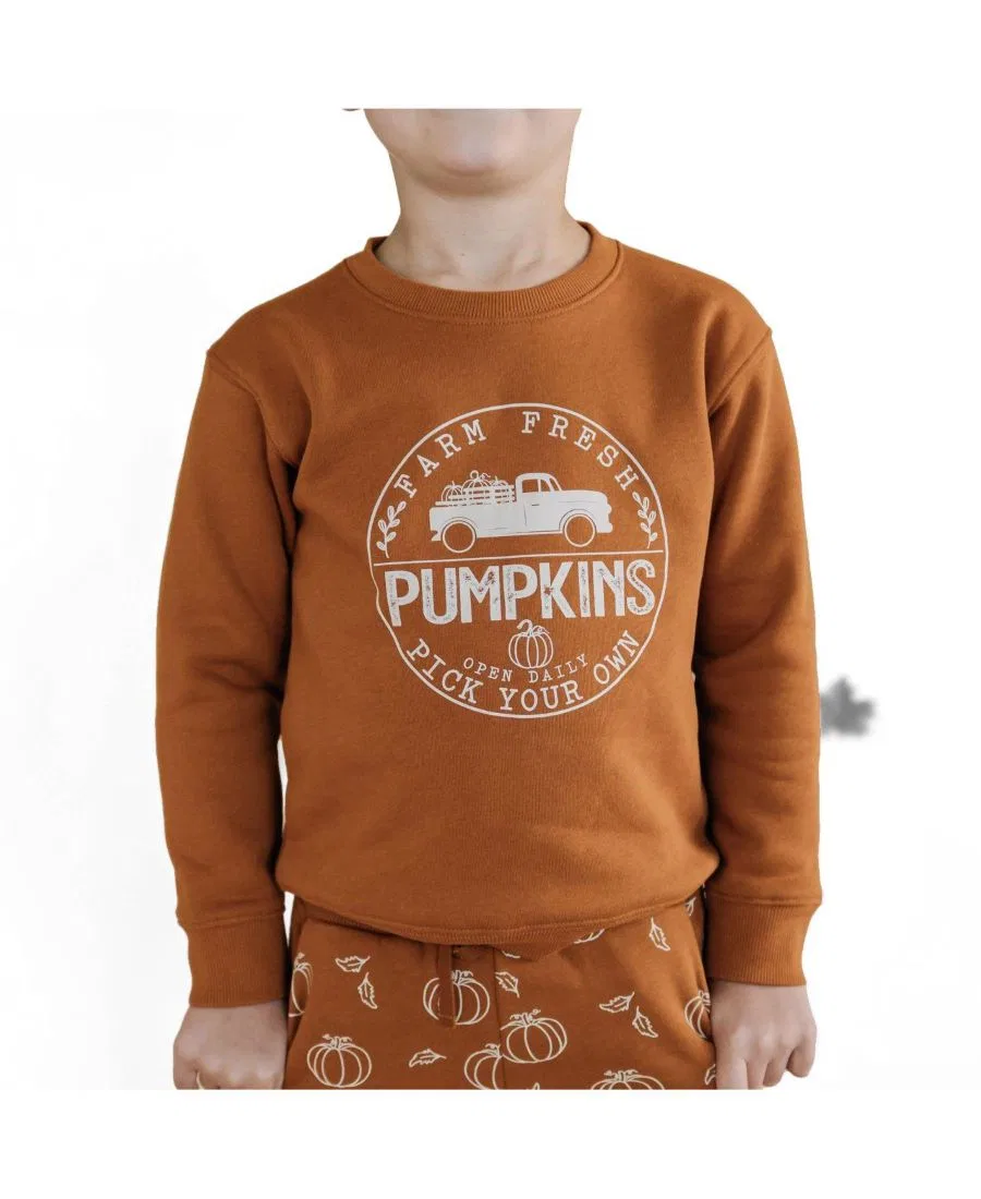 Свитшот с принтом Farm Fresh Pumpkins Sweet Wink, Burnt Orange — фото 3