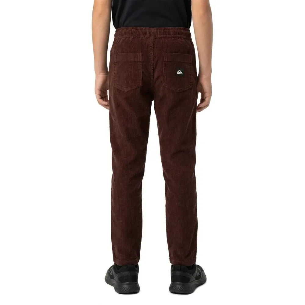 Детские брюки для мальчиков с эластичным поясом Quiksilver Taxer Cord, Brown — фото 2