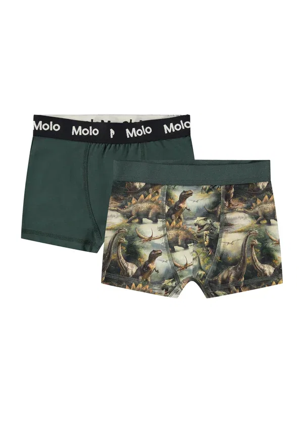 Трусы с принтом динозавры Justin 2 pack, Molo, Dino Harmony