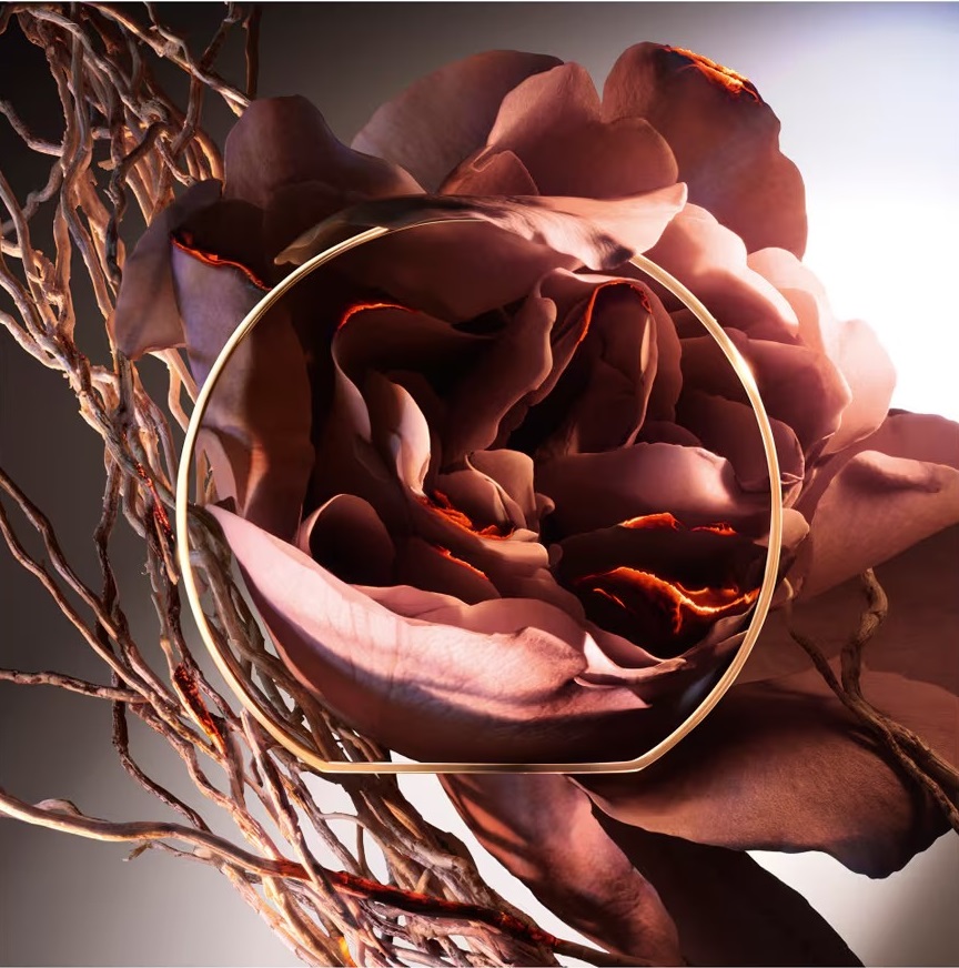 Парфюмерная вода Lancôme Absolue Les Parfums Hell of a Rose — фото 4