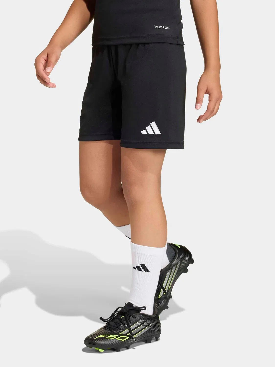 Шорты тренировочные Entrada 26 adidas, черный
