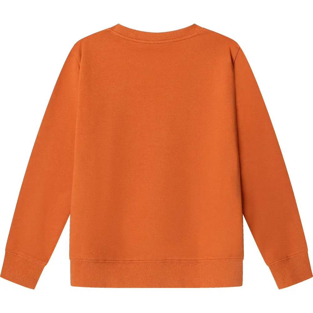 Детский свитшот для мальчиков с принтом Pepe jeans Art, Orange — фото 2