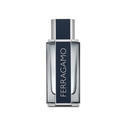 

Salvatore Ferragamo Ferragamo PH Edt Vapo 100мл