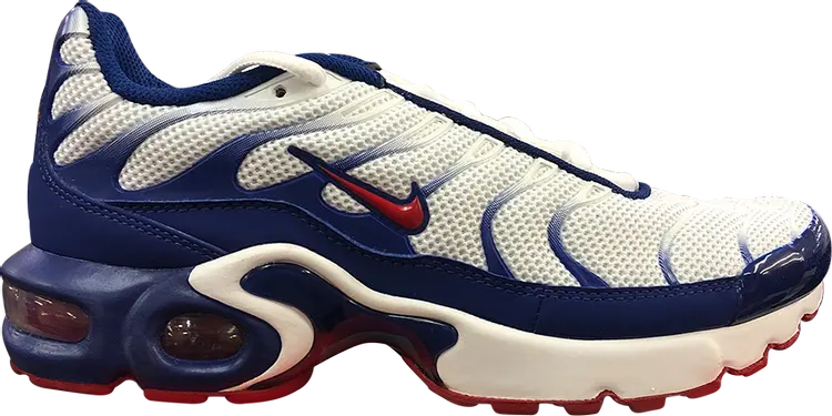 

Кроссовки Nike Air Max Plus GS 'USA', красный