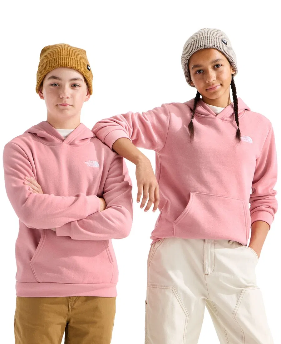Худи с капюшоном Evolution Simple Dome с длинным рукавом The North Face, Primrose