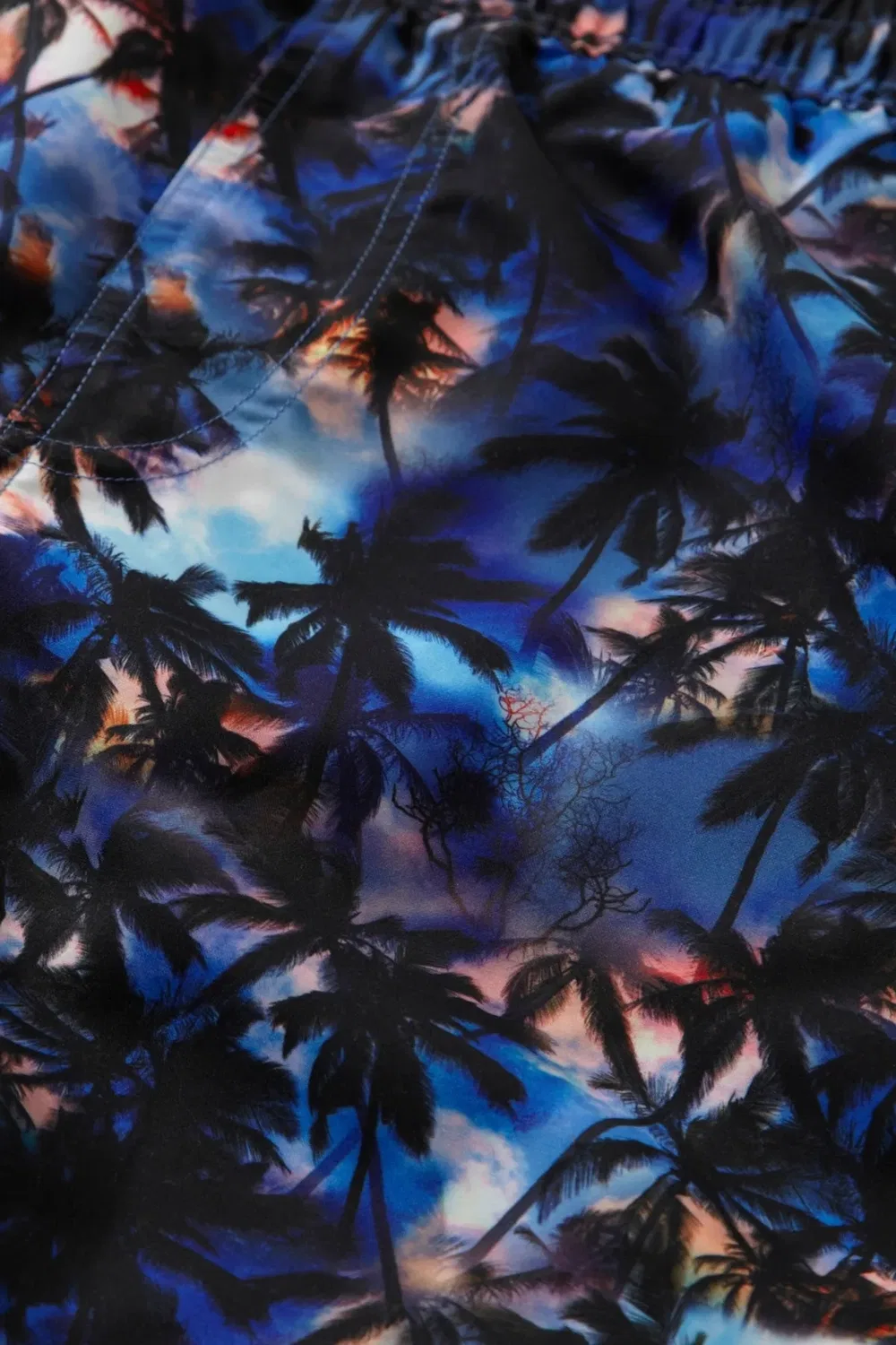 Плавки с принтом Palm print H2O, Black — фото 3