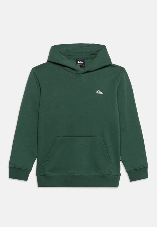 Худи из футера с капюшоном Basic hoodie unisex Quiksilver, Forest