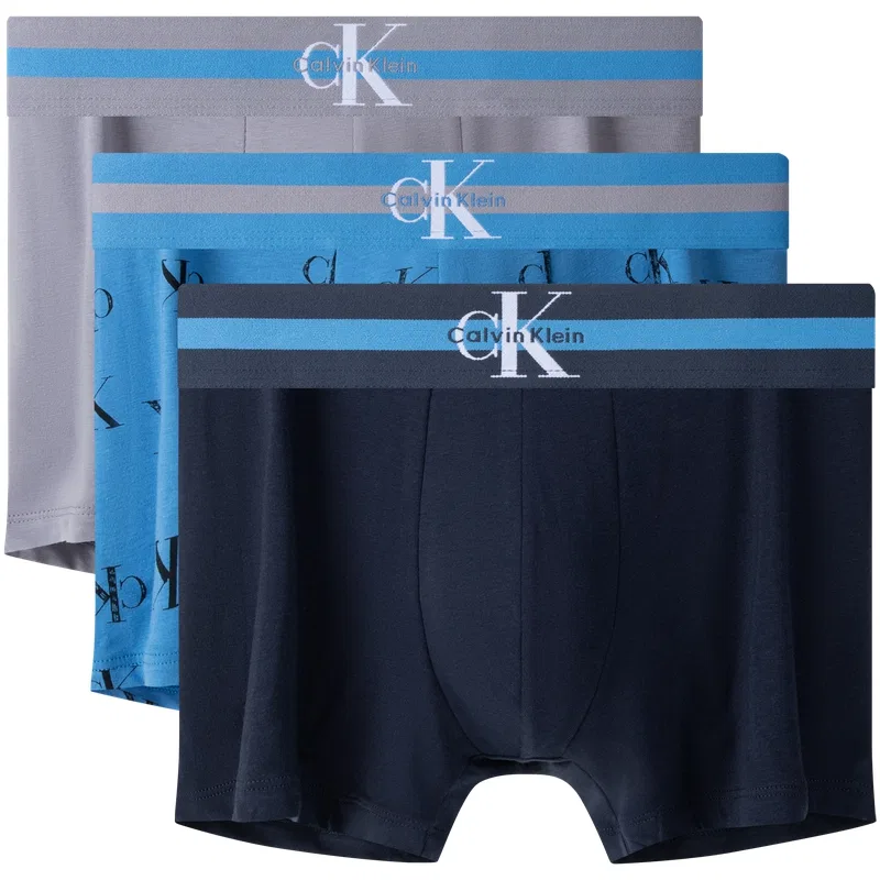 Мужские трусы-боксеры с принтом Calvin Klein, Black/Lake Blue/Light Mist Gray