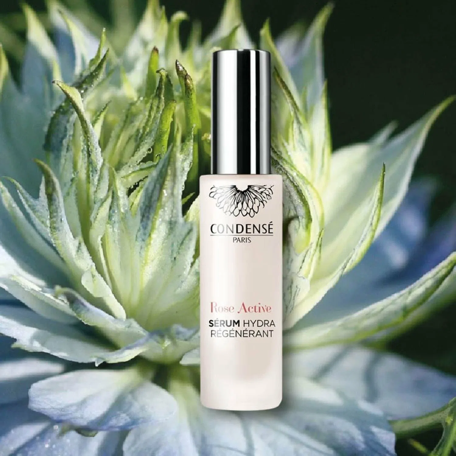 Активная сыворотка Rose Hydra Jeunesse Condense Paris, Tightening beauty emulsion