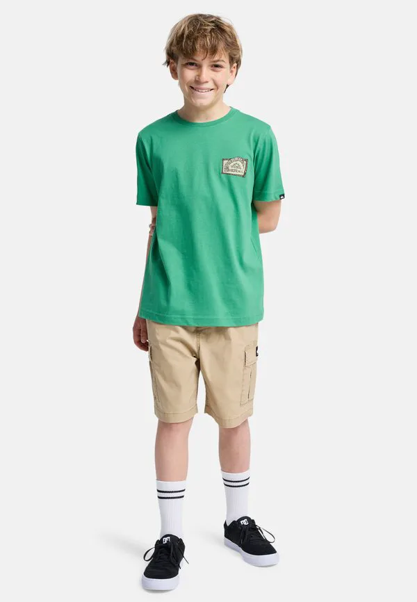 Эластичные брюки-карго taxer Quiksilver, Cjz