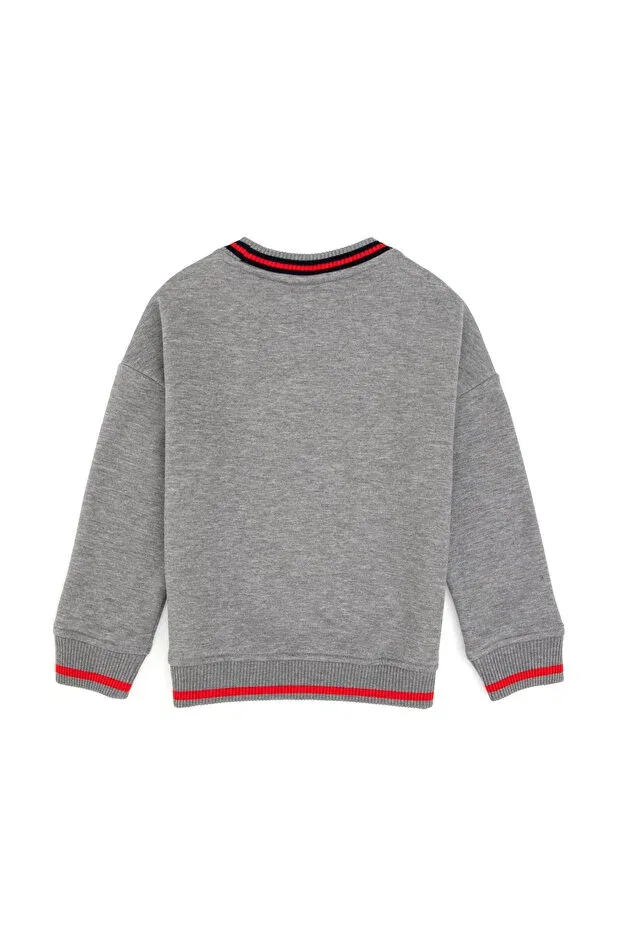 Детские свитшот для мальчиков с круглым вырезом U.S. Polo Assn., Gray Melange — фото 2