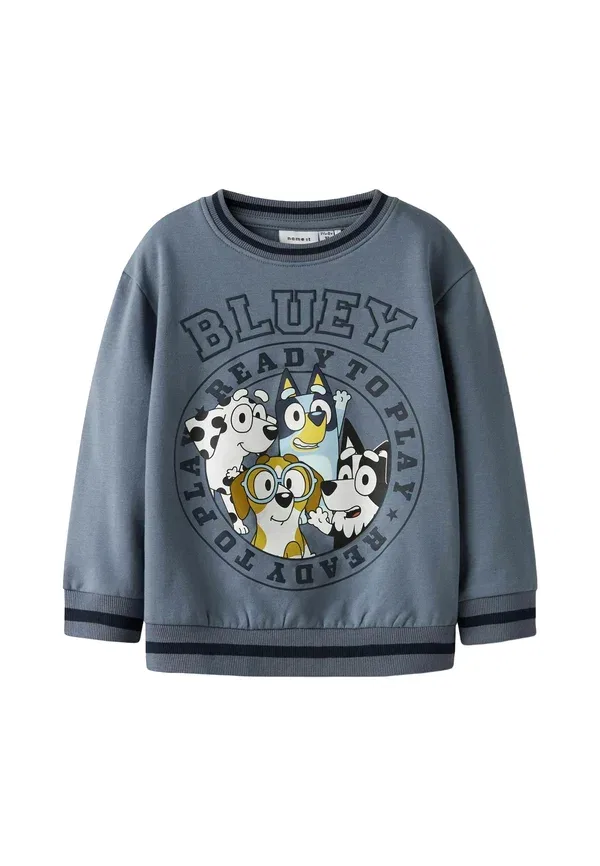 Кофта с принтом Bluey Bluey Name It Flint Stone