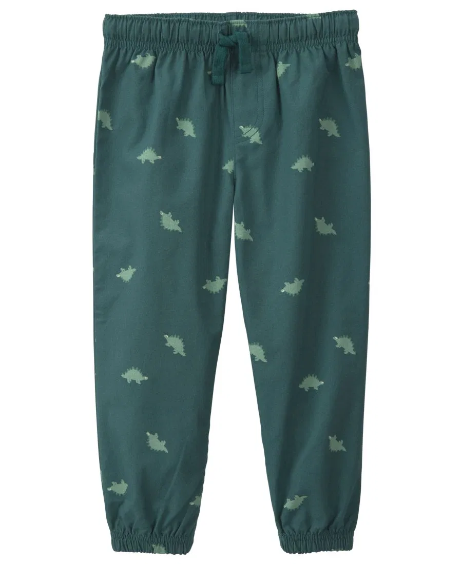 Комплект из свитшота с капюшоном и брюк, с динозаврами Carter's, Gray/Green — фото 2