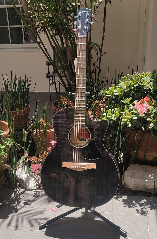 

Акустическая гитара Eastman PCH3-GACE 2022 - Transparent Black