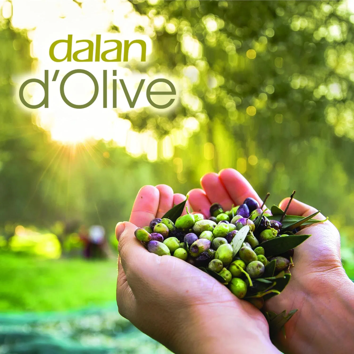 Лосьон для тела Dalan d'Olive, 2 x 400 мл Dalan — фото 4