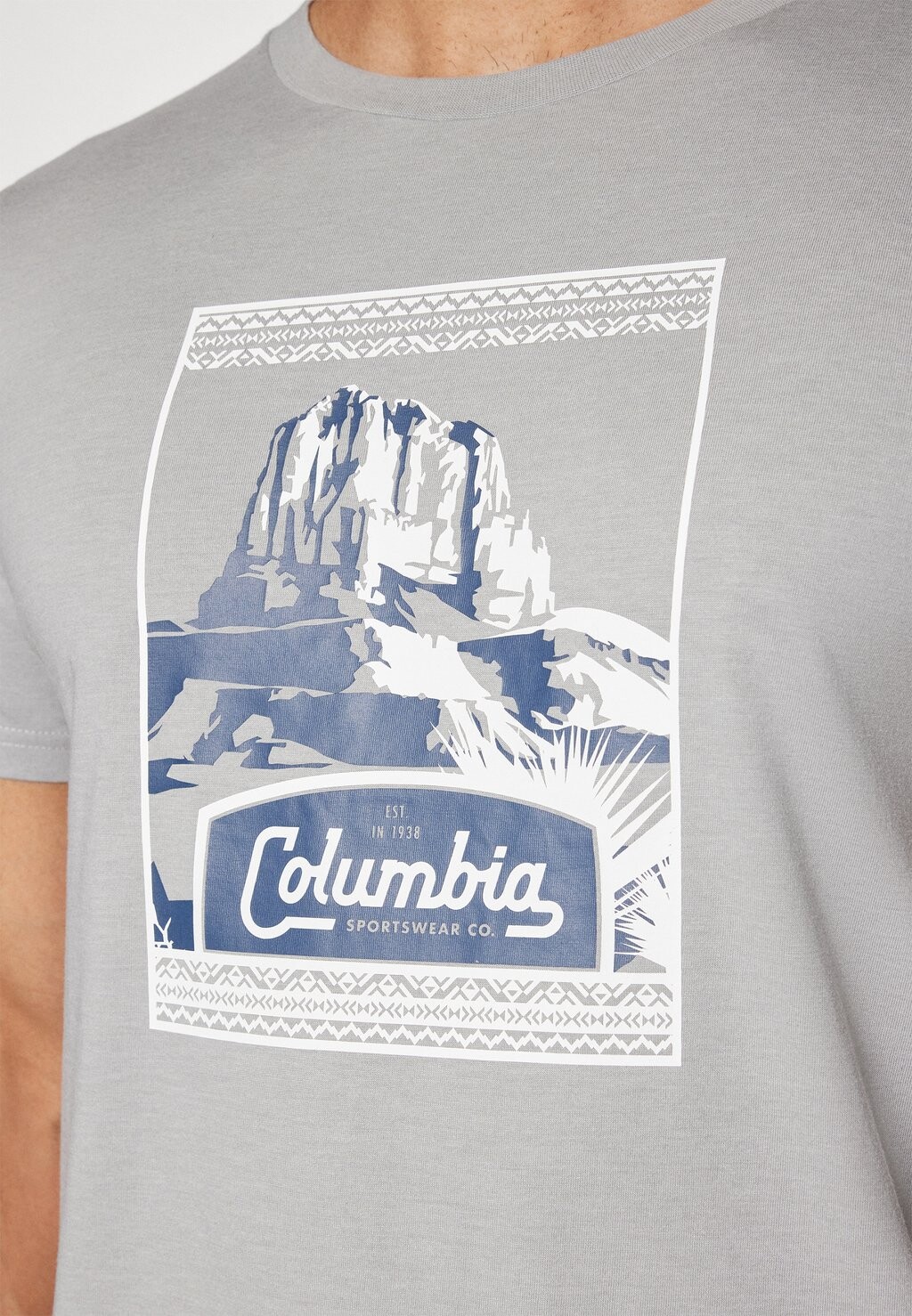 

Принт на футболке SEASONAL LOGO TEE Columbia, серый