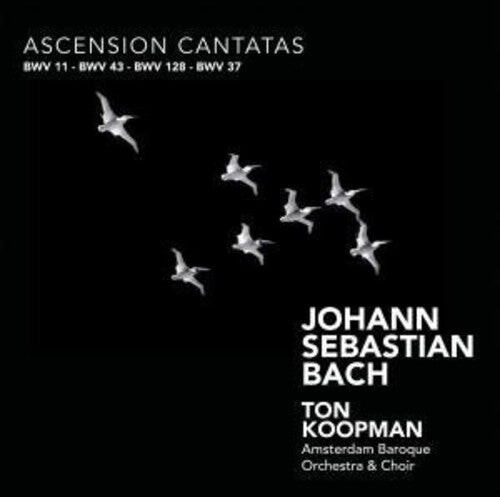 

CD диск Bach, J.S. / Piau / Zomer / Rubens / Koopman: Ascension Cantatas