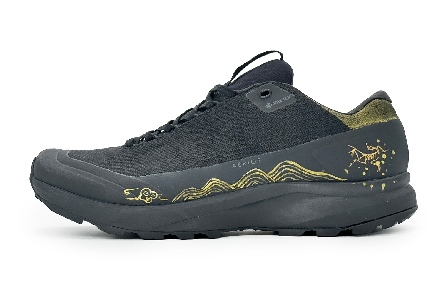 

Кроссовки для активного отдыха Arcteryx Aerios Fl 2, черный / золотой