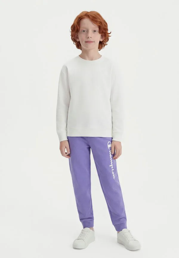 Базовые спортивные штаны Champion, Purple