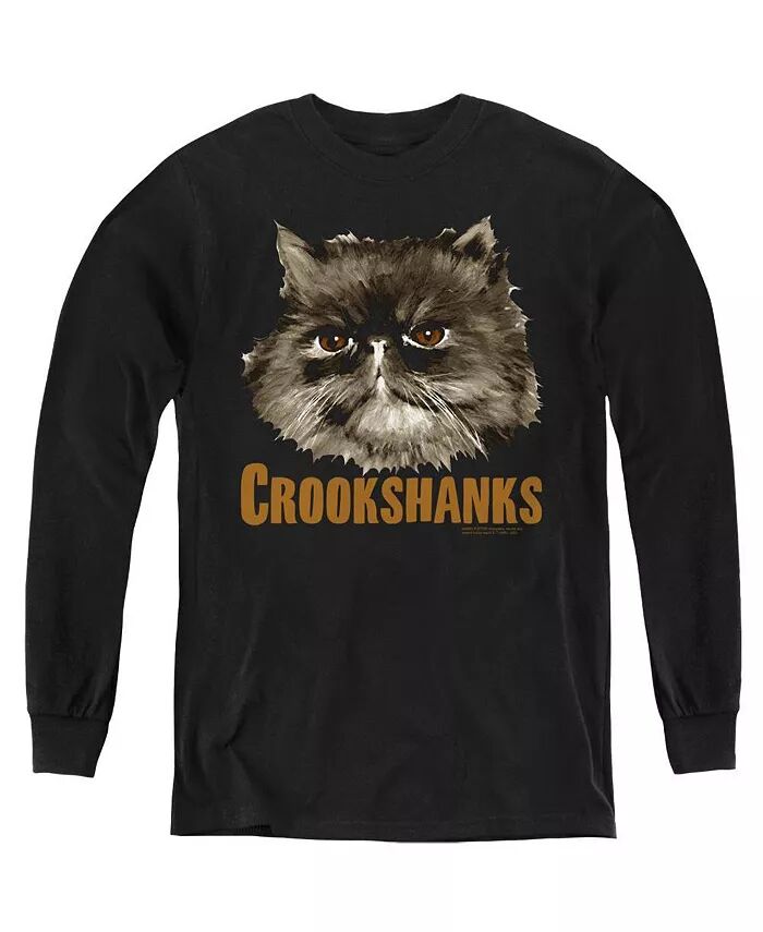 

Молодежные толстовки Crookshanks с длинным рукавом Harry Potter, черный