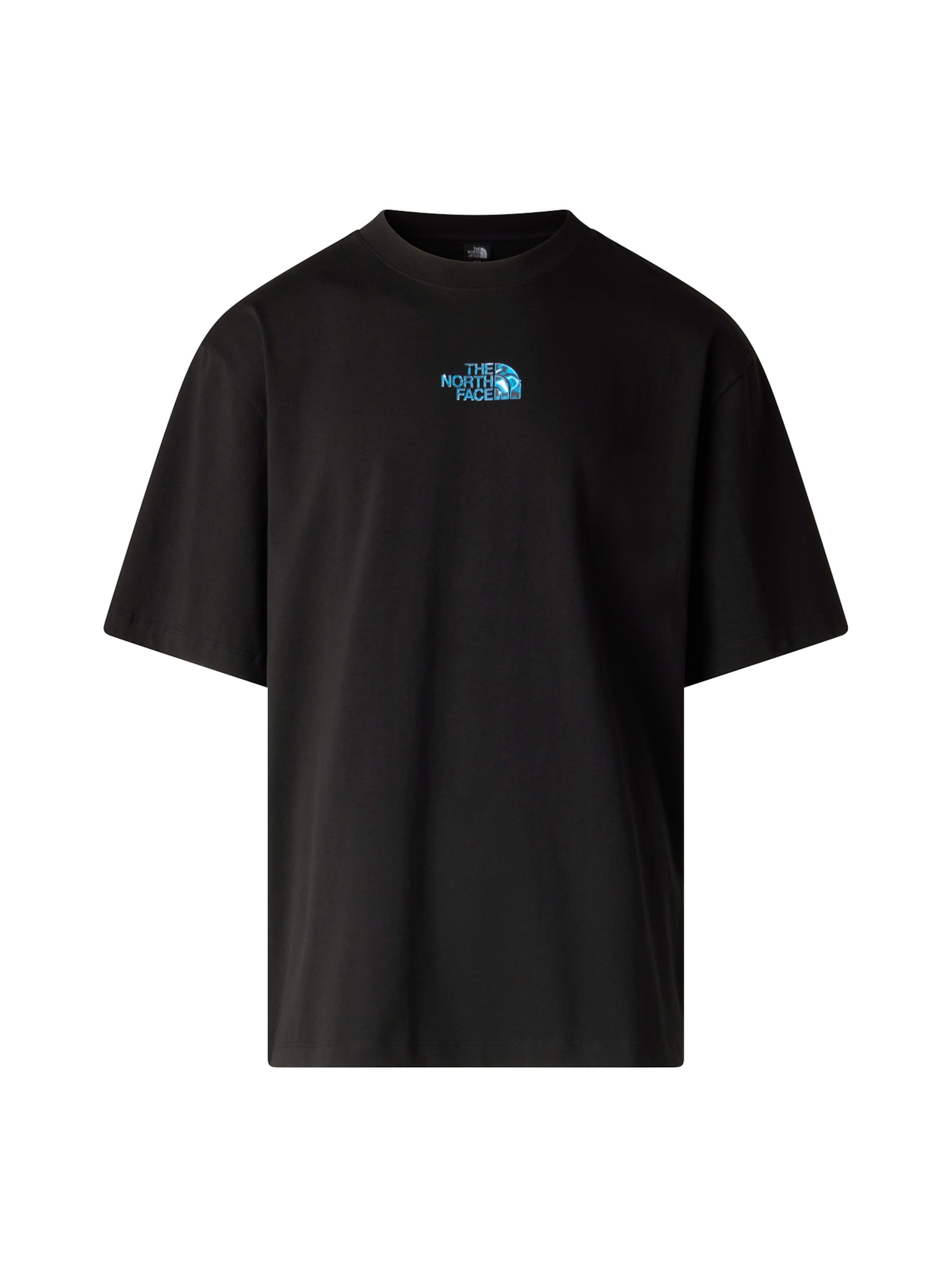 

THE NORTH FACE Футболка в черном цвете