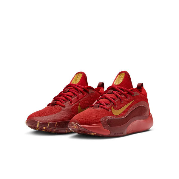 Кроссовки isofly 'gym red team red gold' Nike, красный — фото 3