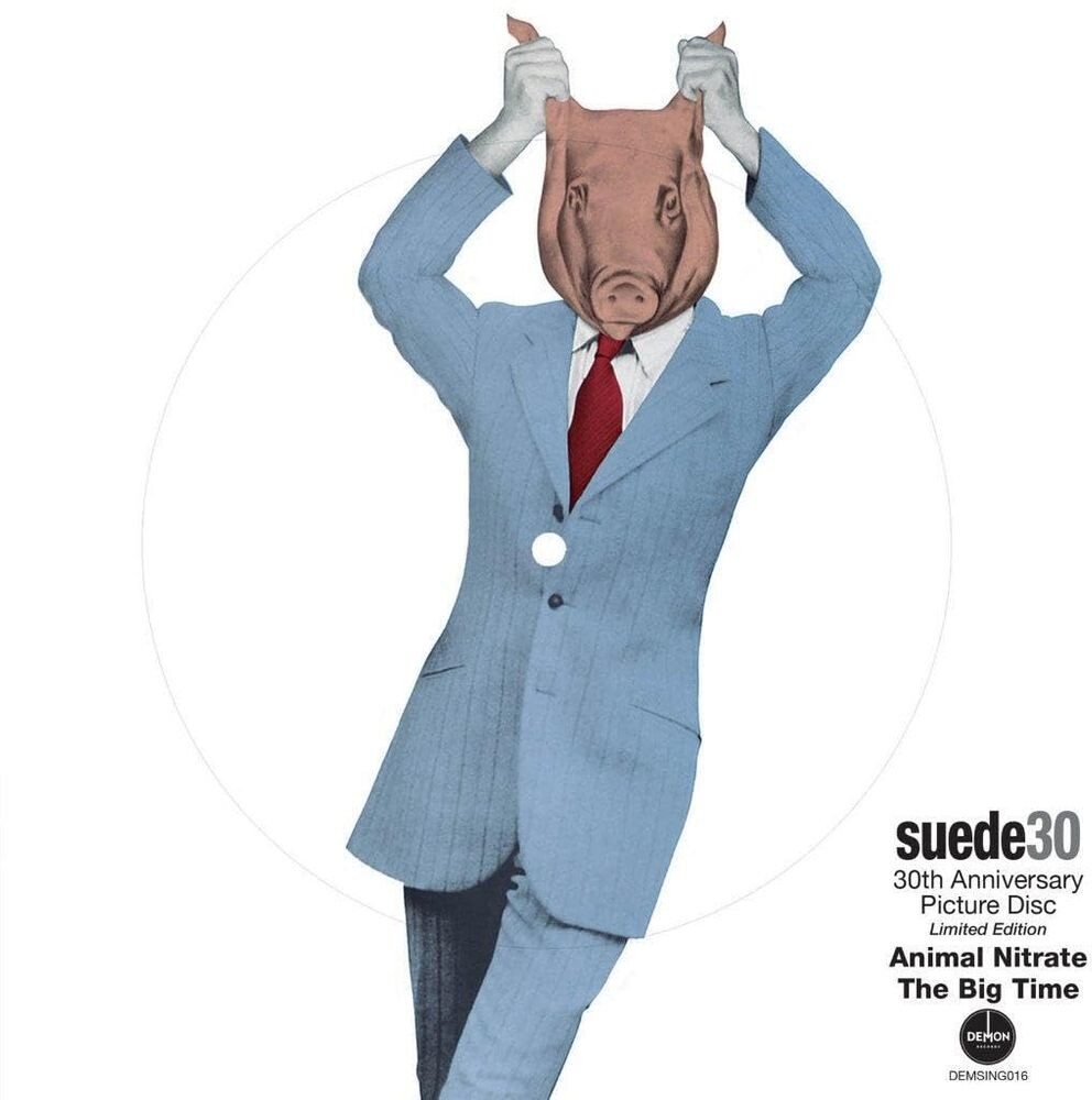 

Виниловая пластинка LP Animal Nitrate / The Big Time [Picture Disc] (7") - Suede