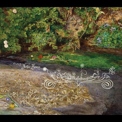 

CD диск Zorn, John: Her Melodious Lay
