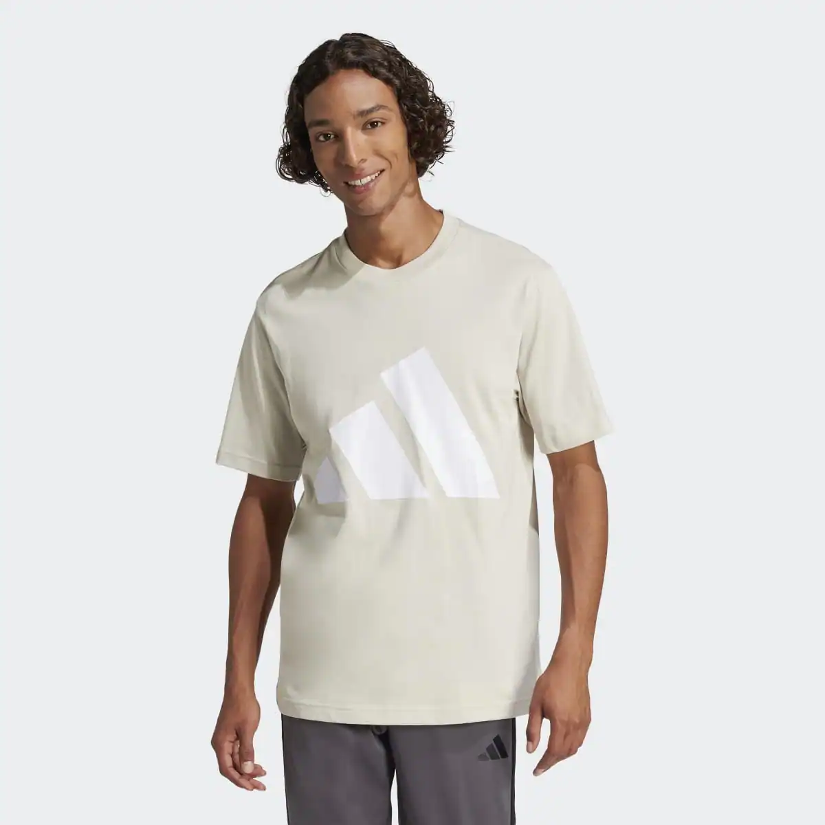

Футболка мужская Essentials Big Logo Adidas, серый