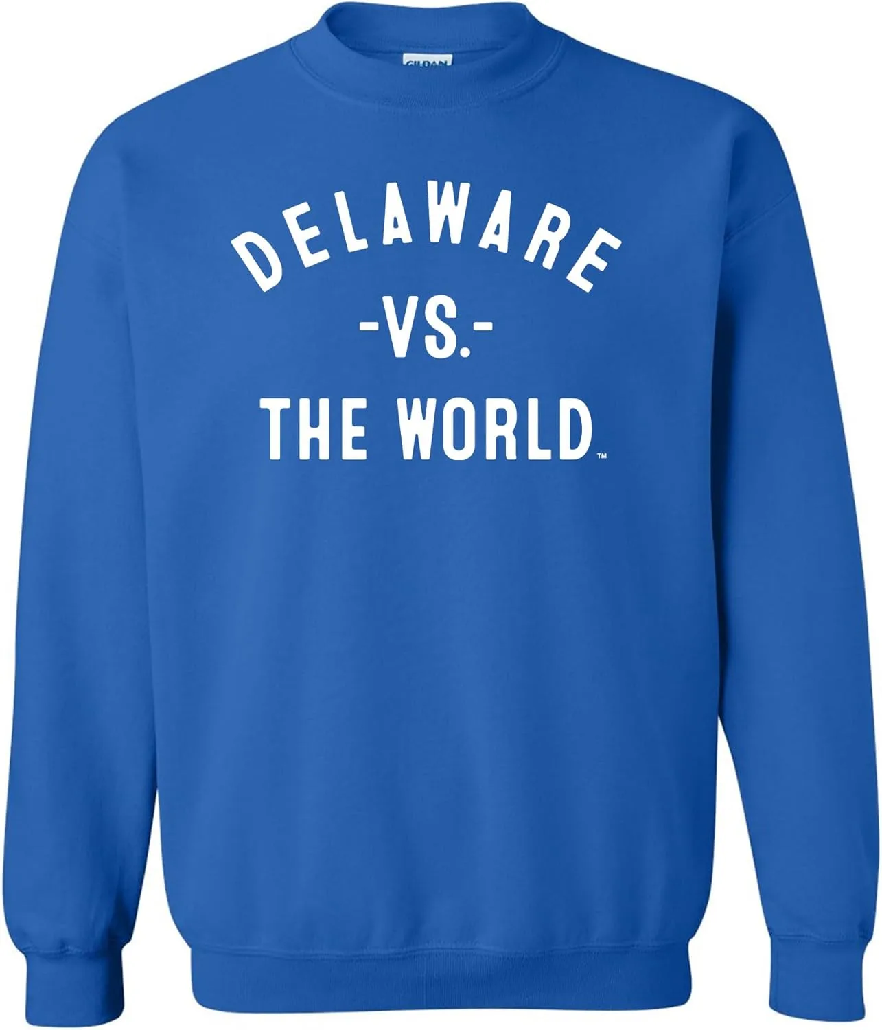 

Футболка VS THE WORLD Delaware VTW