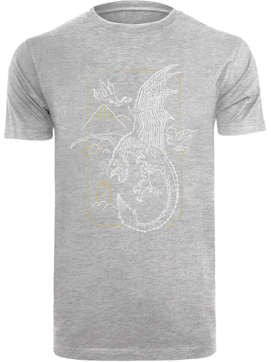 

Классическая футболка F4NT4STIC Shirt Harry Potter Dragon Line Art, пятнистый серый