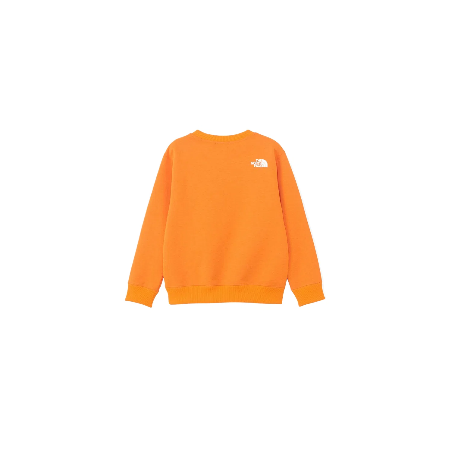 Свитшот детский для детей 3-7 лет THE NORTH FACE, Reddish Brown Orange — фото 3