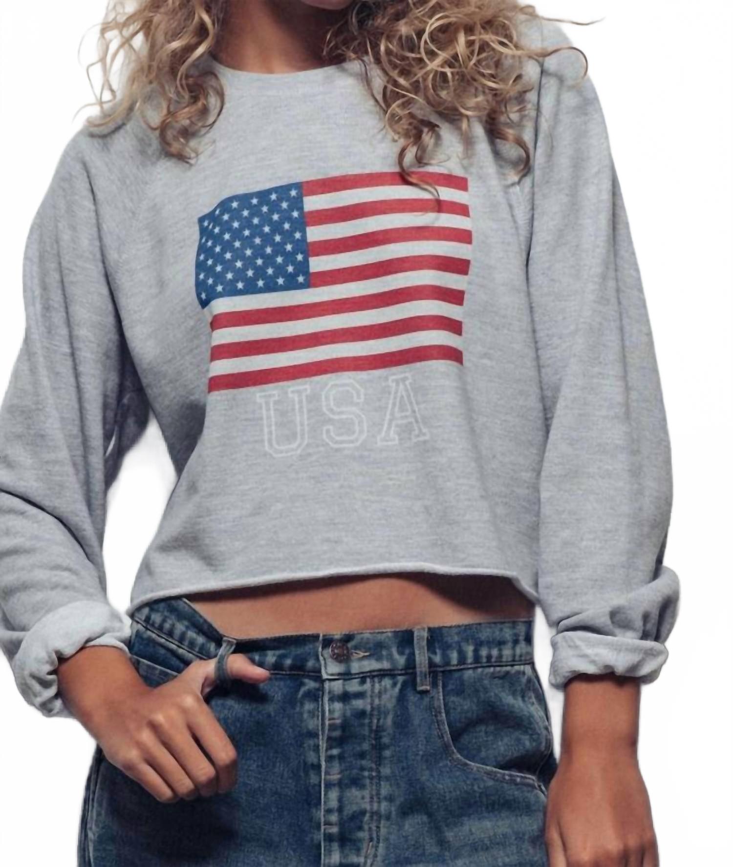 

Кроп худи с принтом в виде флага США в сером меланже Urban Daizy, серый