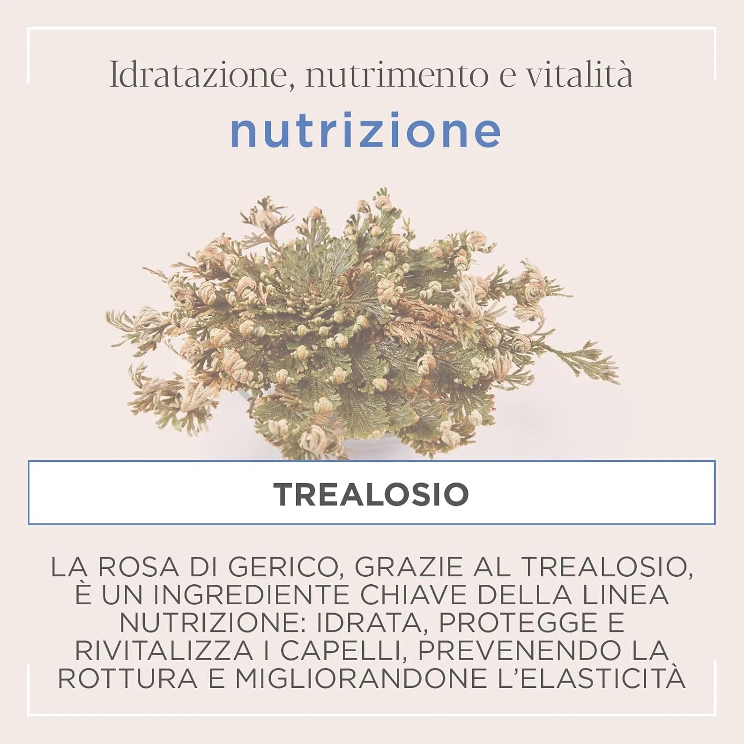 Кондиционер для сухих волос «Nutrizione Cond» от Actyva Kemon — фото 4