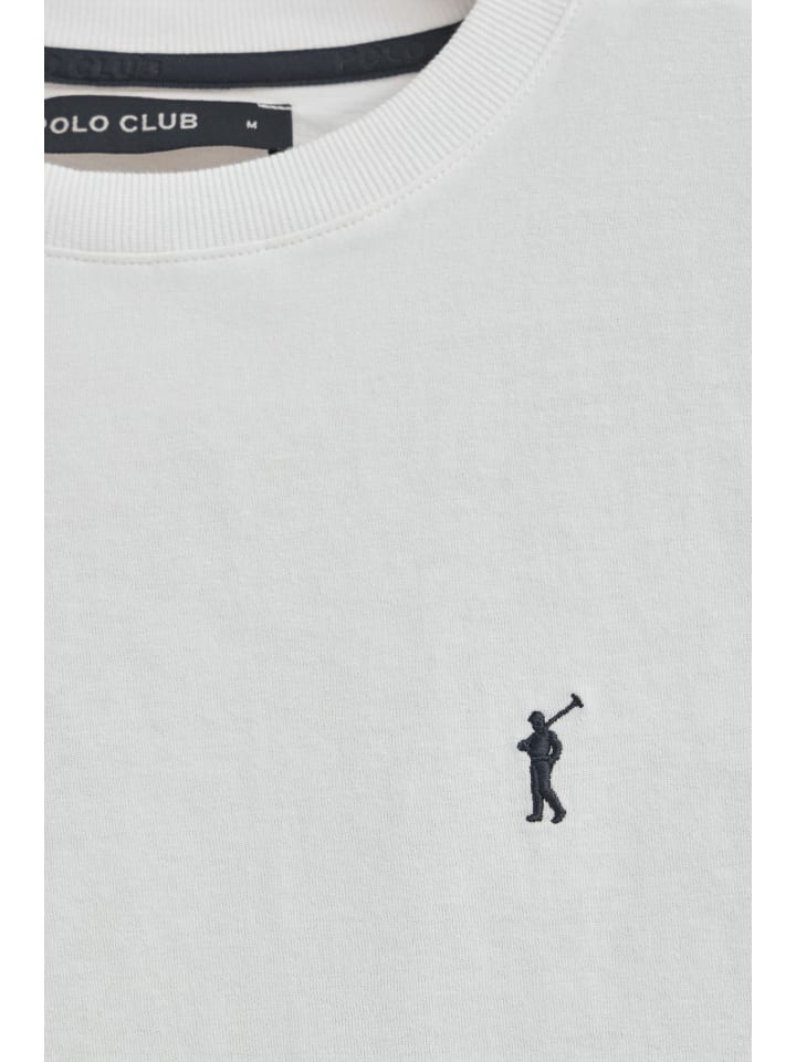 

Разноцветная футболка Polo Club