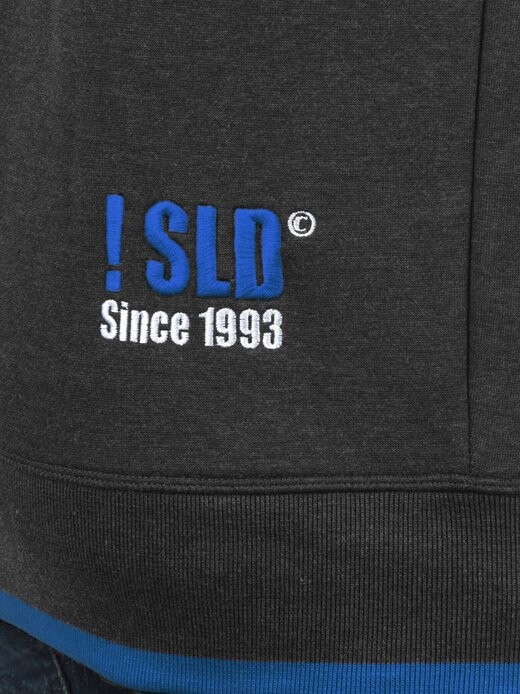 

Толстовка с капюшоном sdbenjaminzip Solid, мультиколор