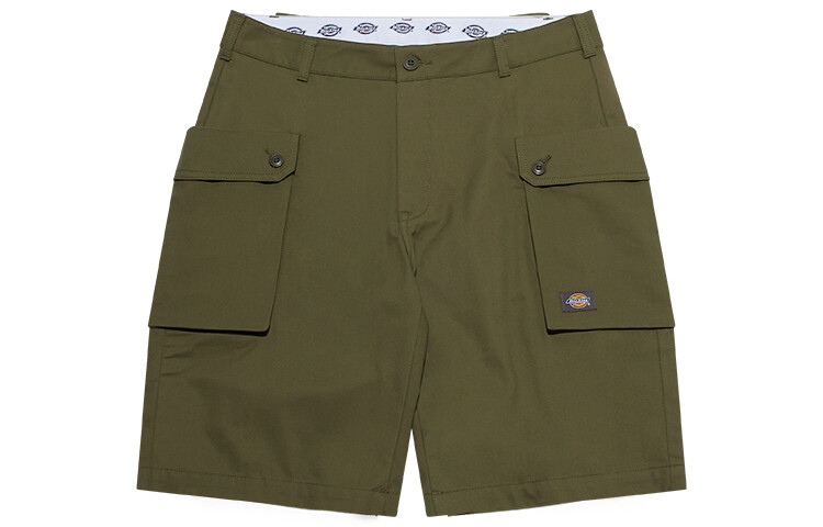 

Повседневные шорты мужские зеленые Dickies, зеленый