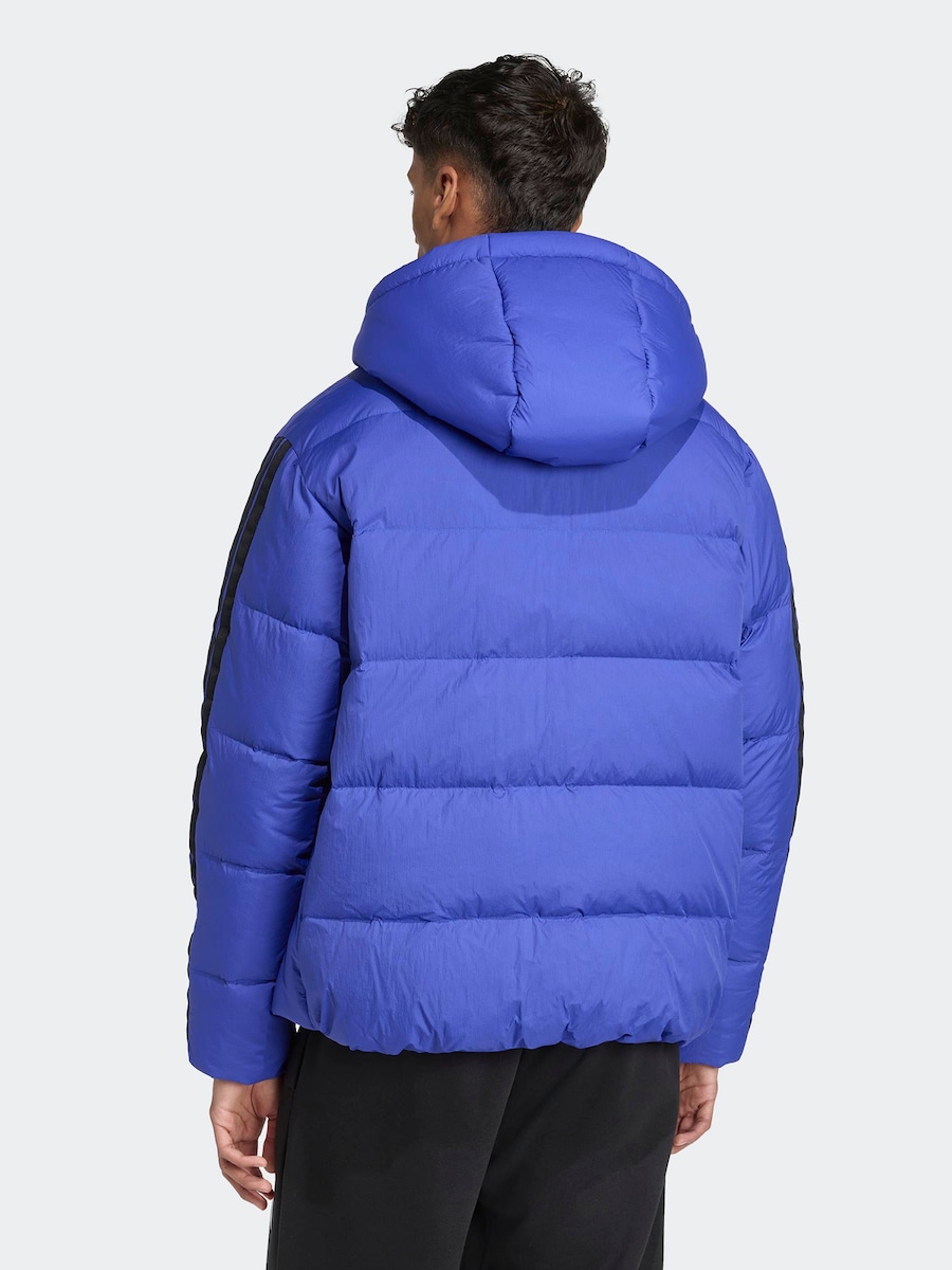 Спортивная куртка ADIDAS SPORTSWEAR Ess, Royal Blue — фото 3