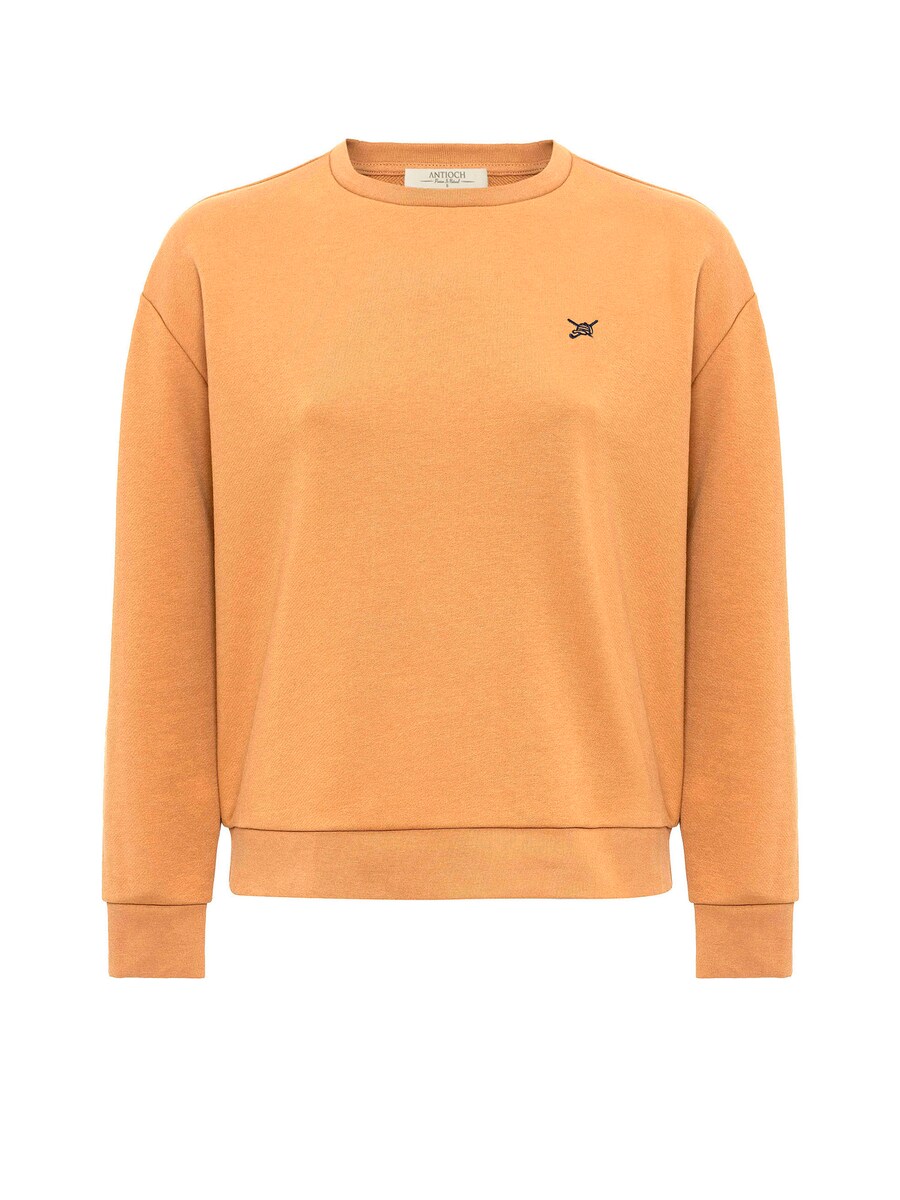 

Толстовка Antioch, цвет Light orange
