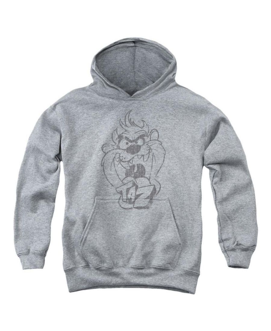 

Детская толстовка с капюшоном Faded Taz Pull Over Hoodie / Hooded Thicket Looney Tunes, Medium grey