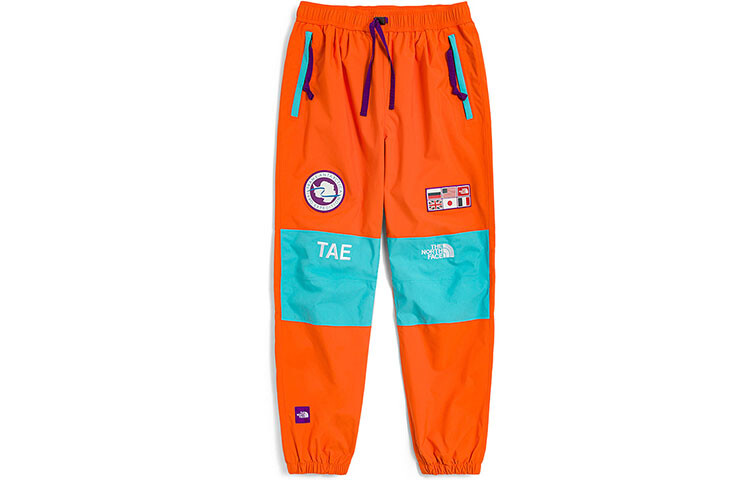 

THE NORTH FACE Мужские лыжные брюки, цвет Orange