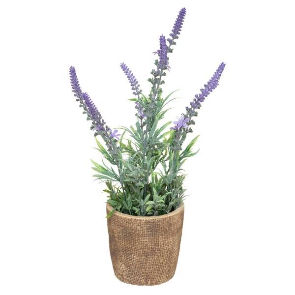

Декоративное растение Atmosphera Créateur d'intérieur Lavendel UDO, белый