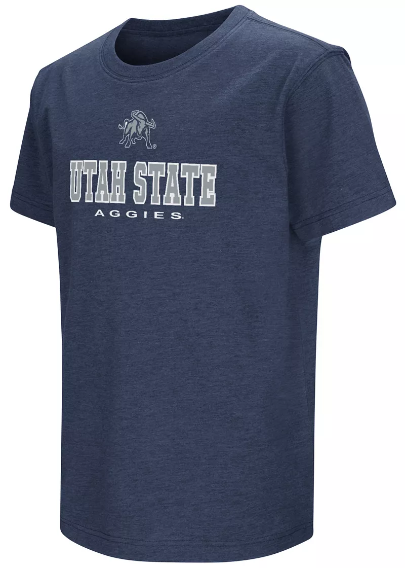 

Молодежная футболка Colosseum State Utah Aggies темно-синего цвета