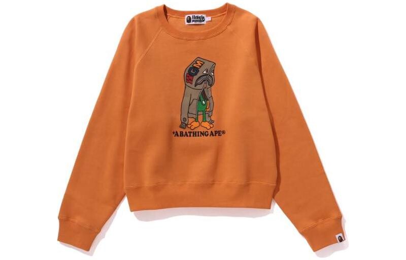 

Толстовка женская A Bathing Ape