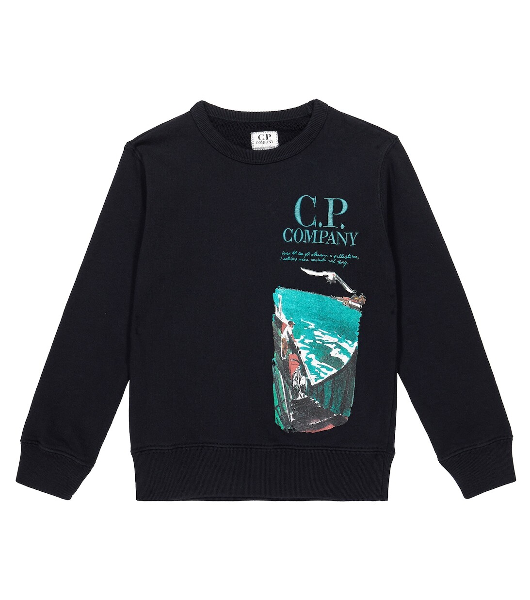 

Толстовка из хлопкового флиса с принтом C.P. COMPANY KIDS, разноцветный