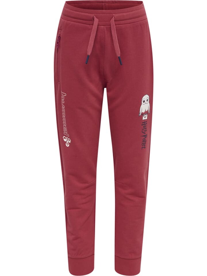 

Спортивные брюки Hummel Hmlharry Kinder, цвет earth red