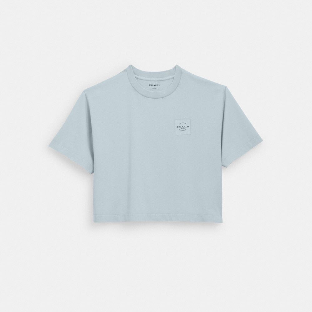

Футболка COACH Garment Dye Cropped, цвет Dusty Blue