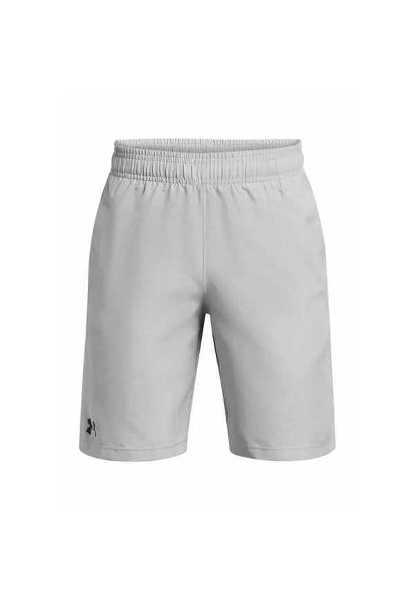 Спортивные шорты из технологичной ткани Under Armour, Mod Gray
