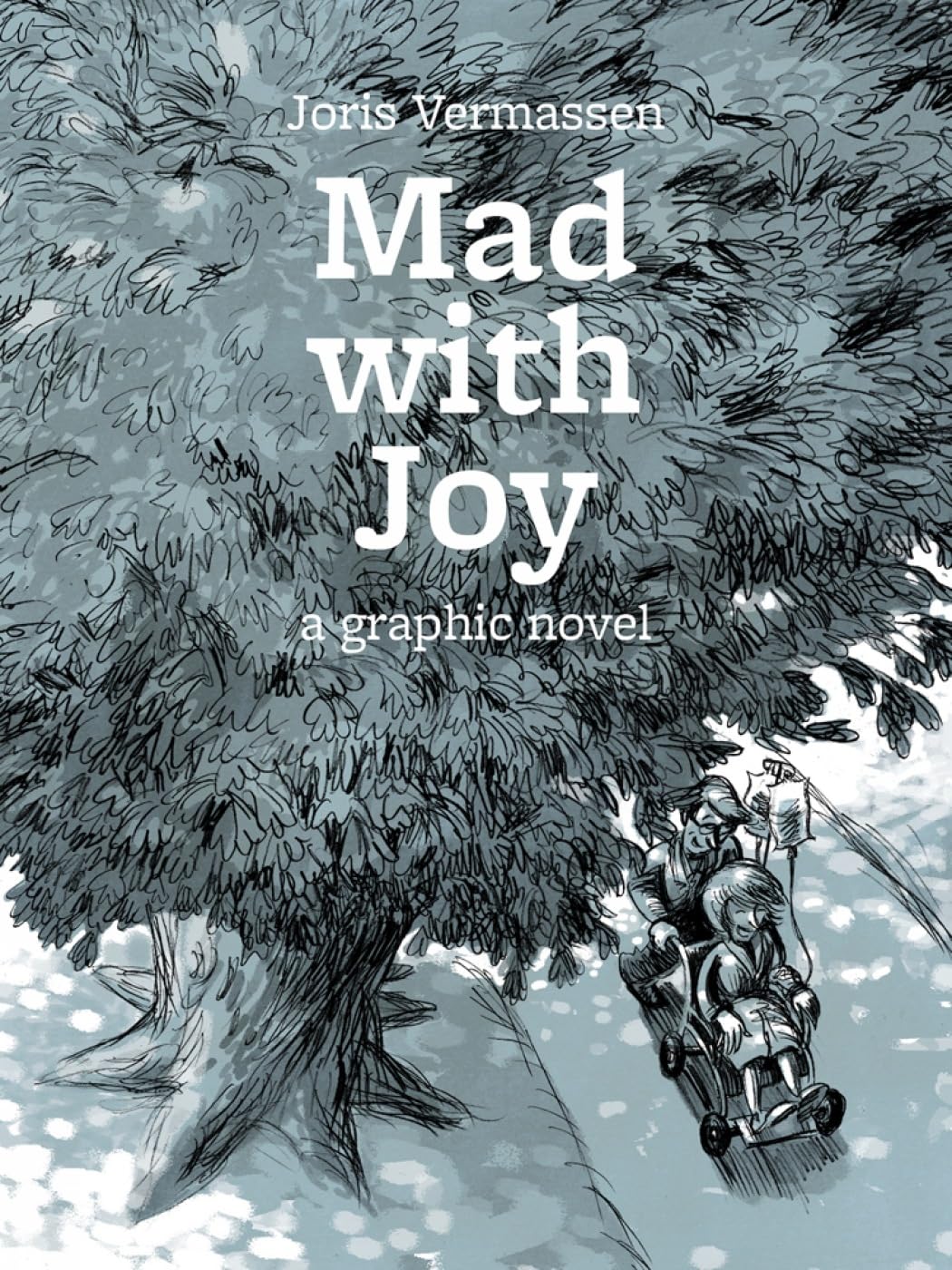 

Mad with Joy: A Graphic Novel (Fanfare Presents)