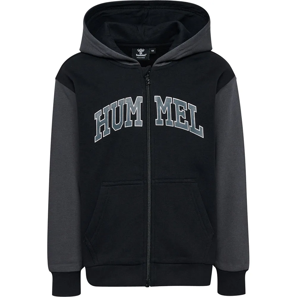 

Толстовка Hummel Alvin full zip, черный
